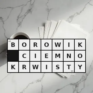 Hasło krzyżówkowe borowik dupaina - borowik ciemnokrwisty – rozwiązanie, synonimy, podpowiedzi i definicje krzyżówkowe